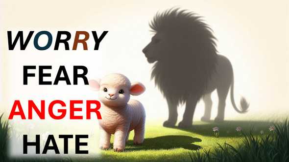 Video cover image