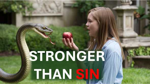 Video cover image
